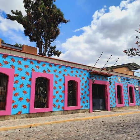 Hotel Casa Arnel Oaxaca Exteriér fotografie