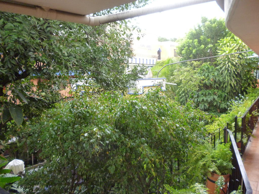 Hotel Casa Arnel Oaxaca Exteriér fotografie
